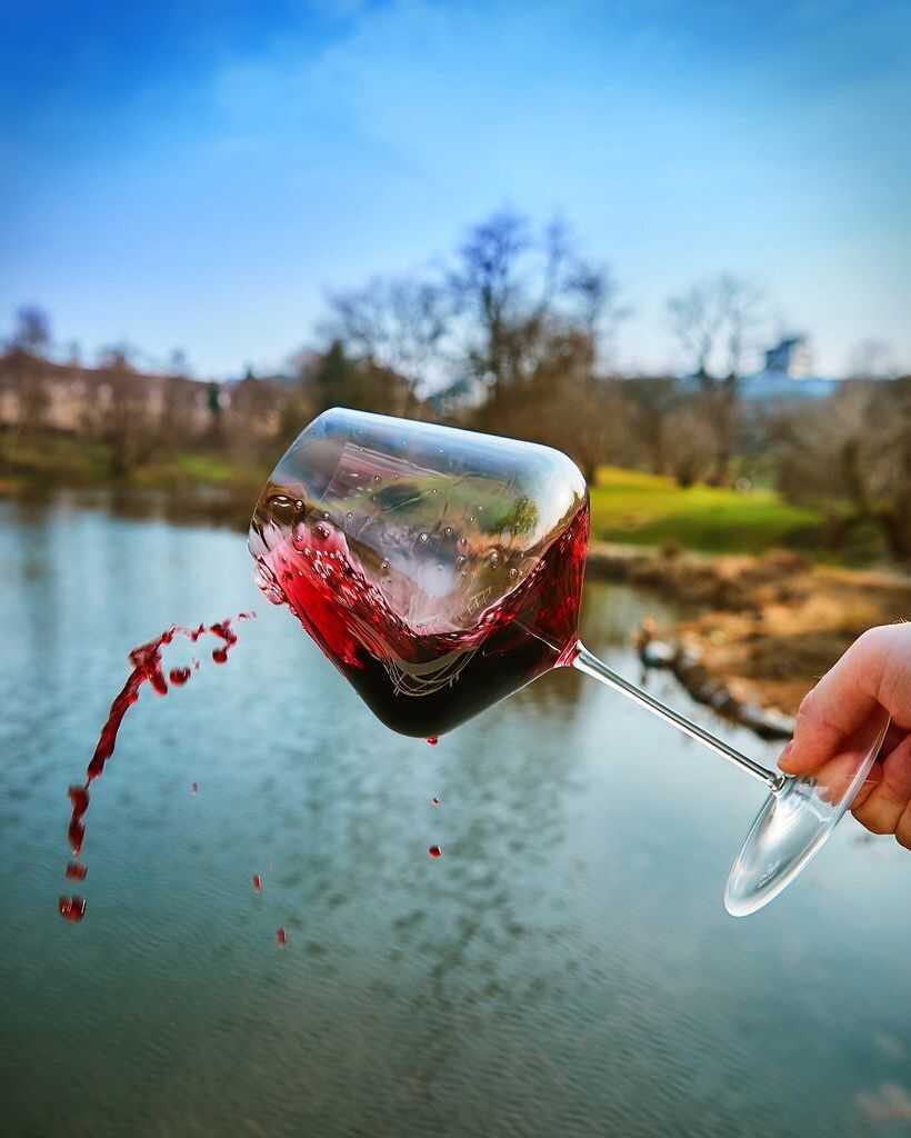 Zalto Burgundy Glass, Zalto, Zalto glass, Zalto glas, Zalto Denk&#39;art, Zalto wine glass