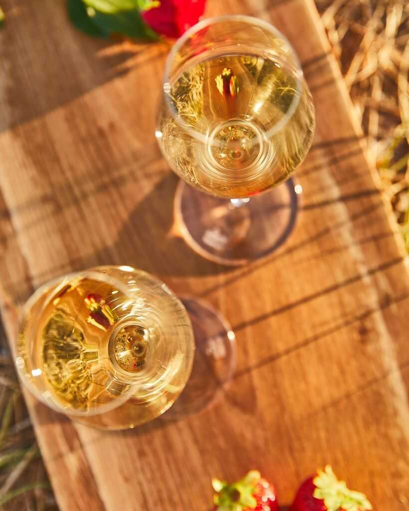 Zalto Champagne Glass, Zalto, Zalto glass, Zalto Champagne, Zalto glas, Zalto Denk&#39;art