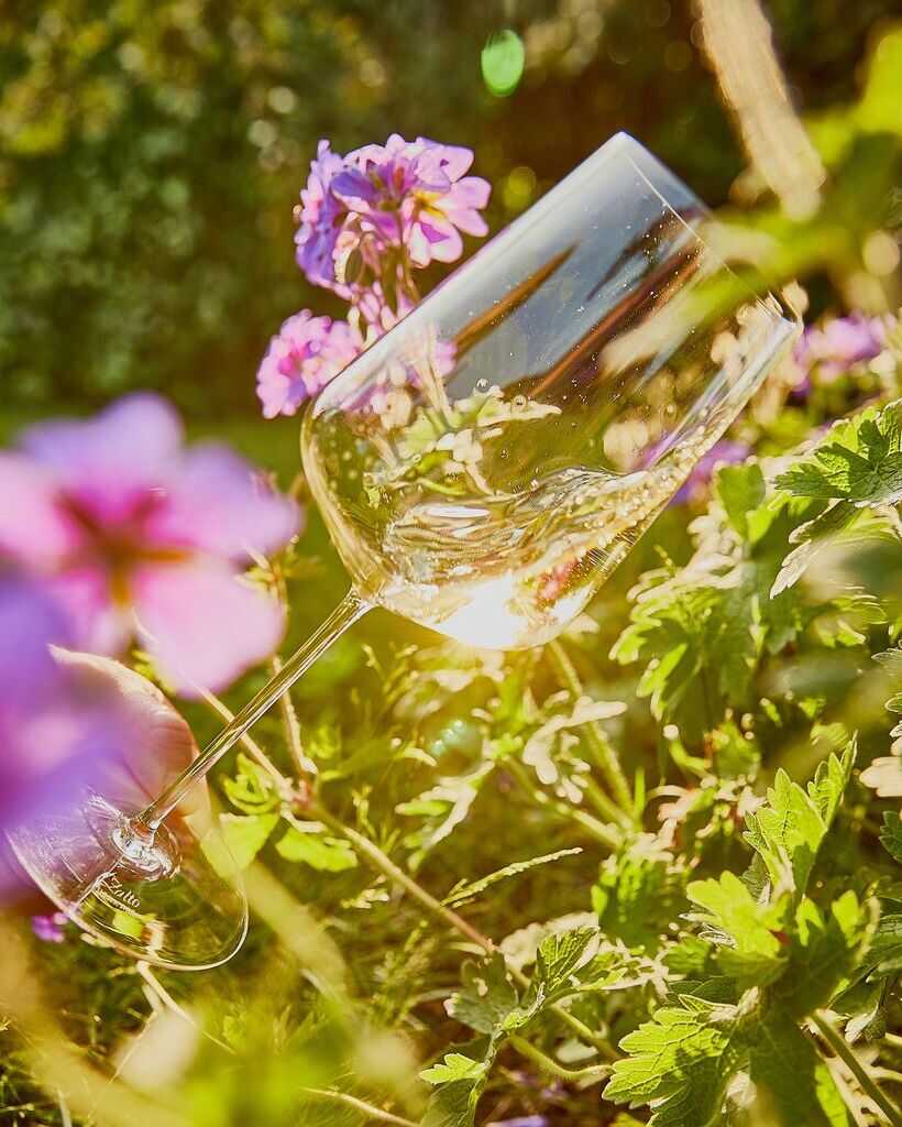 Zalto Spittoon 50, Zalto Spittoon 50 green, Zalto, Zaltify, Zalto Denk&#39;art, Spit bucket